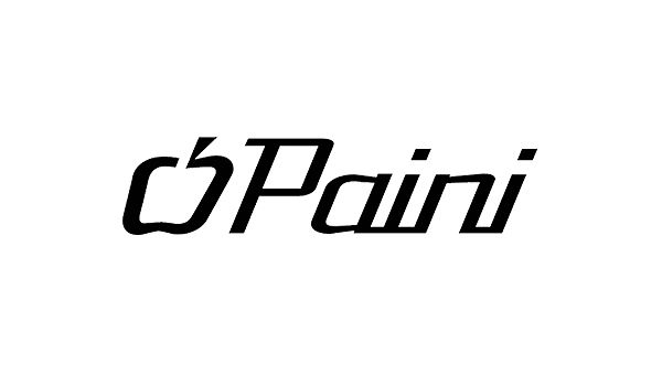 Paini